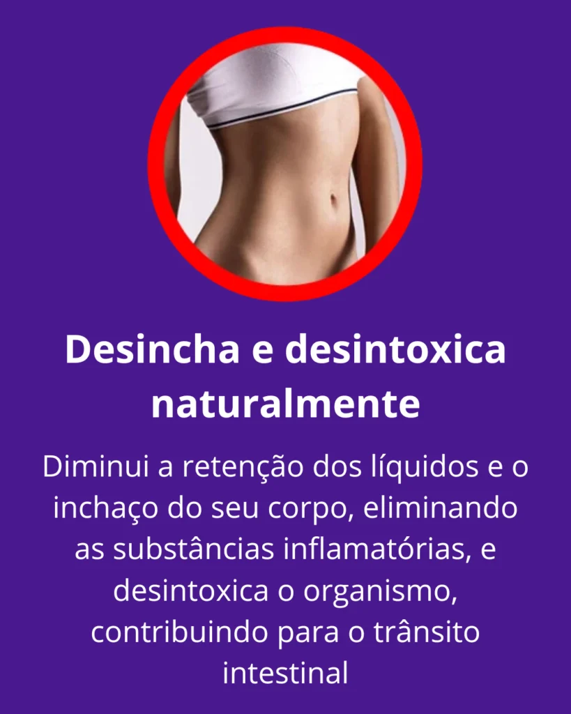 mounjafit desincha e desintoxica